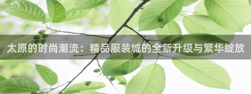 谈球吧账号有人收吗