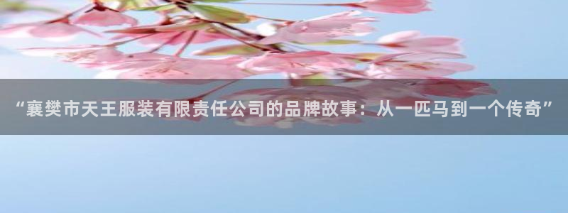 谈球吧官网提款不了