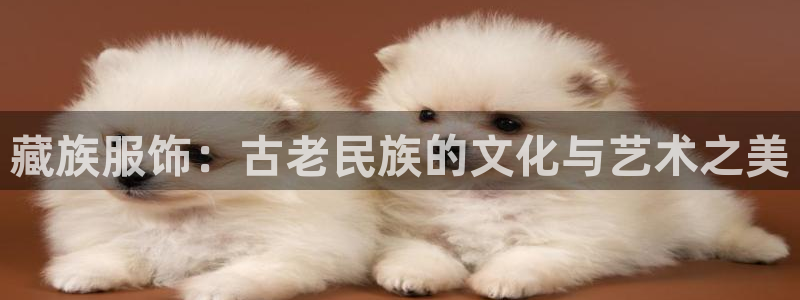 谈球吧体育app下载官网手机版苹果