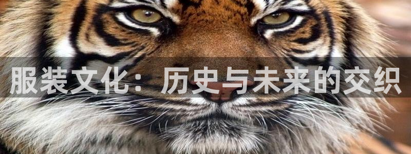 谈球吧体育app官网下载安装