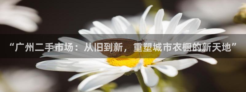 谈球吧平台