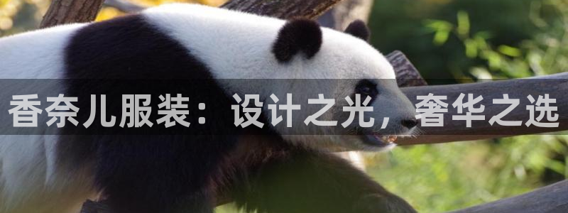 谈球吧官网在线入口免费观看高清版