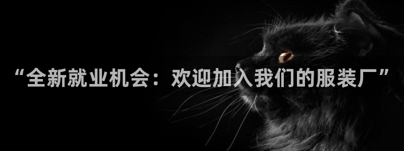 谈球吧app赛事分析