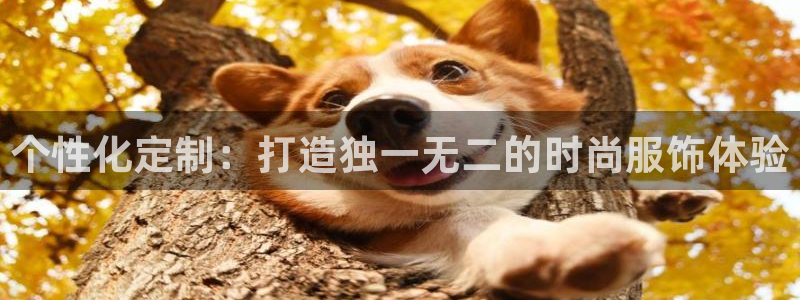 谈球吧的聊天软件是什么