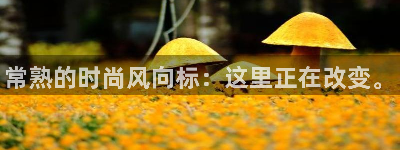 谈球吧买球是正规的吗