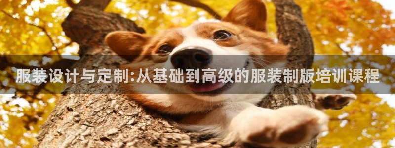 谈球吧官方网站