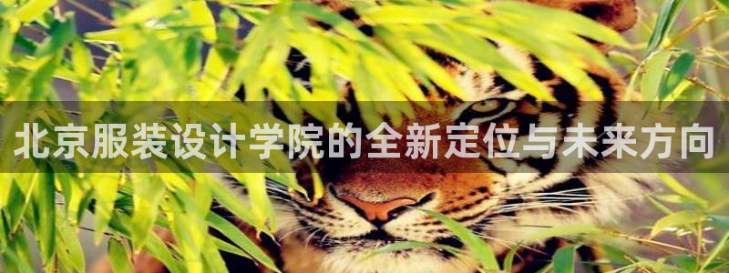 谈球吧电子
