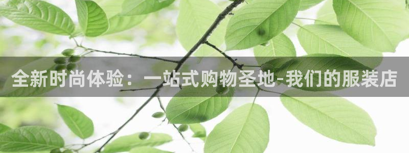 谈球吧的聊天软件