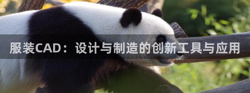 谈球吧官网在线入口免费观看视频网站