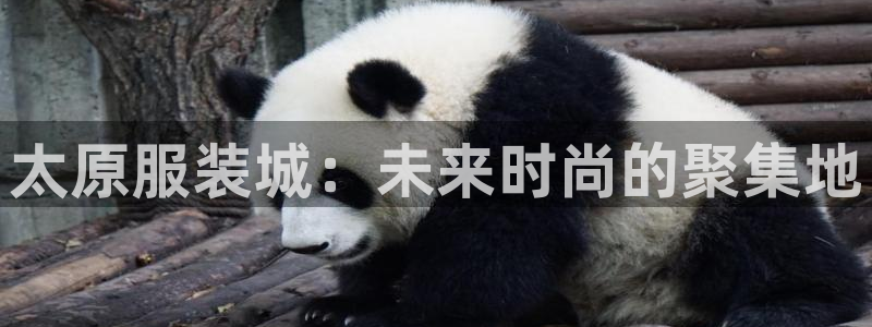 谈球吧娱乐app下载官网苹果