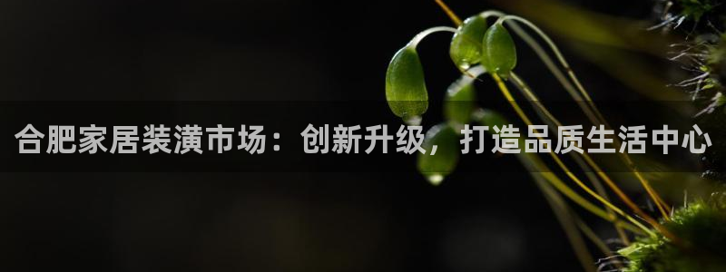 谈球吧算违法行为吗知乎