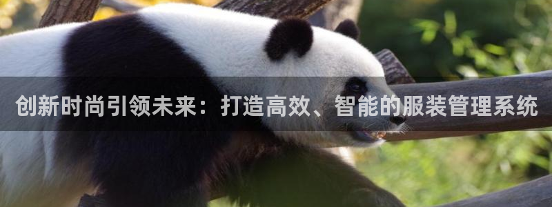 谈球吧体育app下载足球