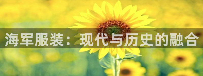 谈球吧官网提款不了