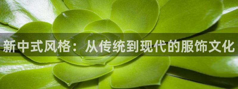 谈球吧app体育下载官网