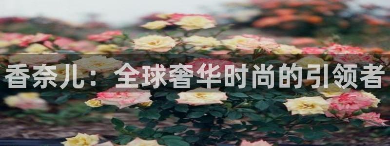 谈球吧属于哪个