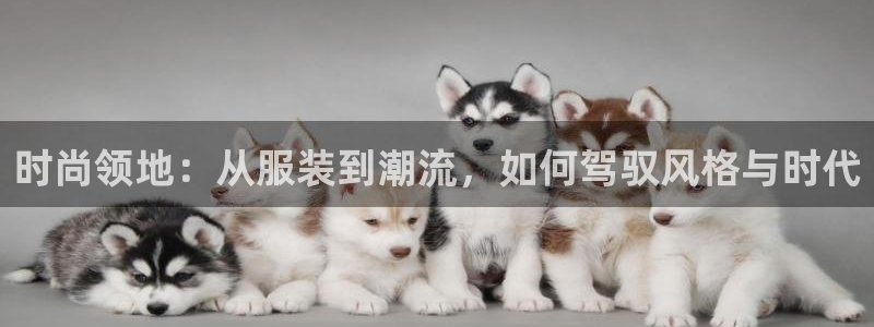 谈球吧体育app登陆不了
