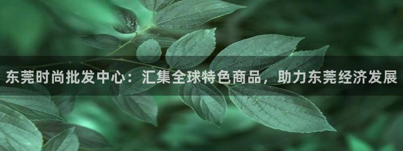 谈球吧全站app下载