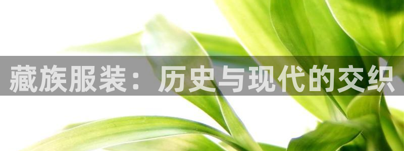 谈球吧咋样