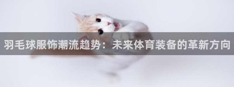 谈球吧APP入口