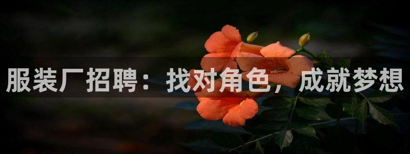 谈球吧APP