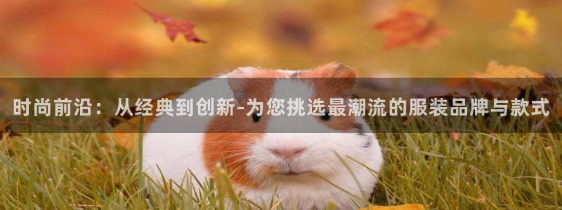 谈球吧属于哪个旗下的品牌