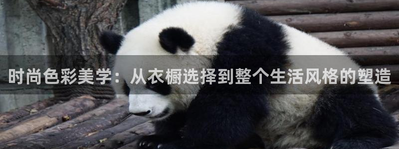 谈球吧app靠谱吗