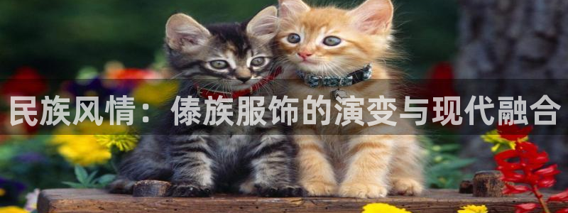 谈球吧
