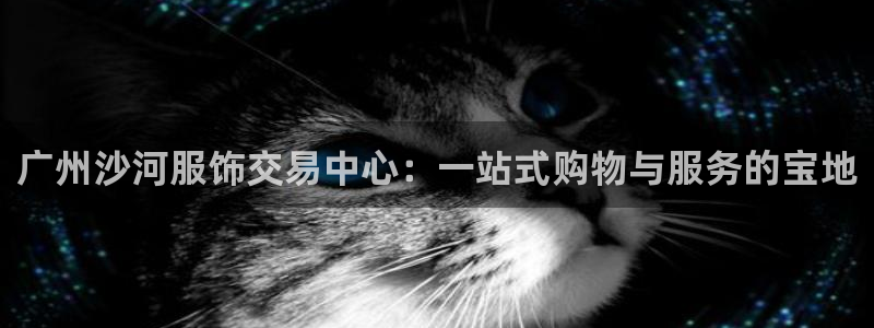 谈球吧app下载安装