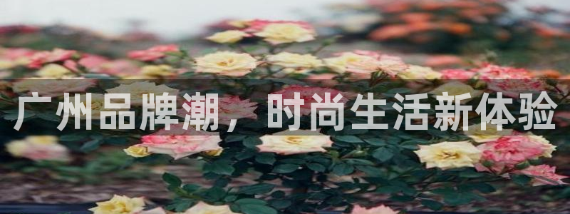 谈球吧登录地址