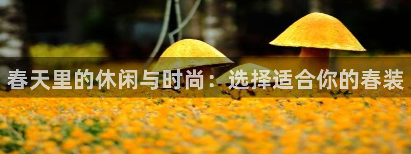 谈球吧中国官方网站