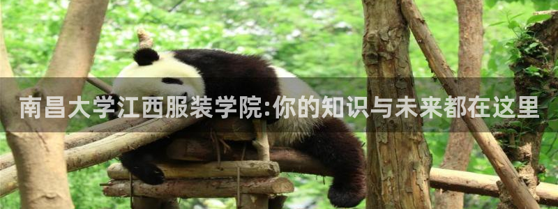 谈球吧官方网站