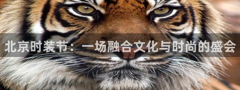 谈球吧可靠吗