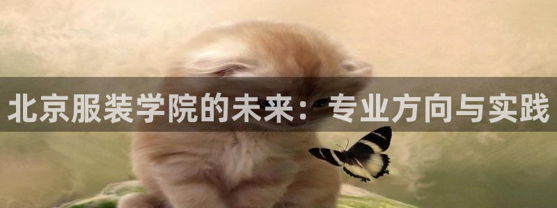 谈球吧体育app下载足球比赛