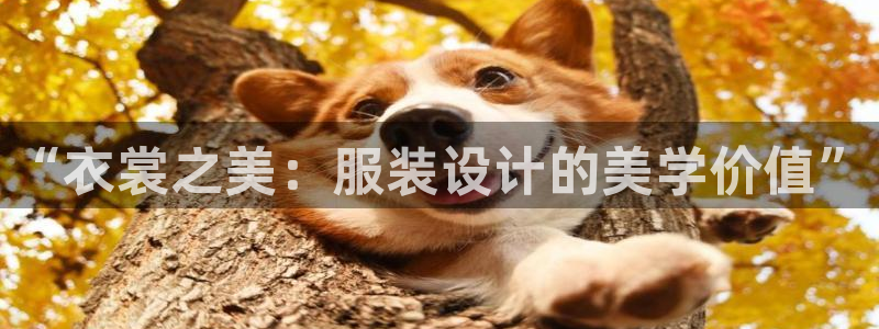 谈球吧算违法行为吗为什么