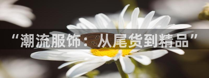 谈球吧体育app下载官网手机版
