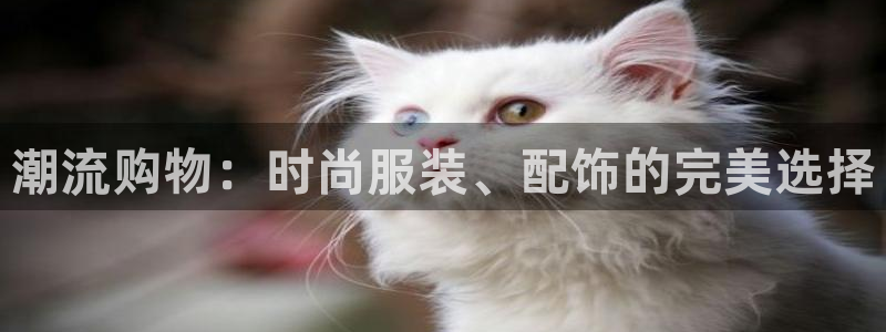 谈球吧官网在线入口手机版免费观看