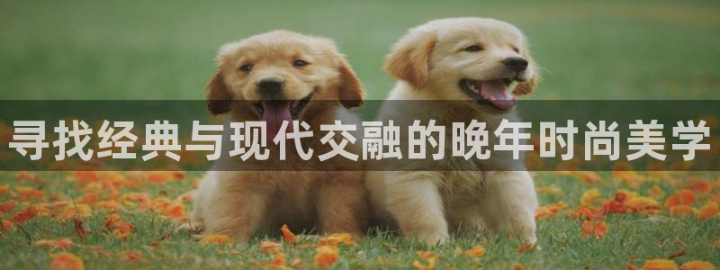 谈球吧娱乐app下载官网苹果版