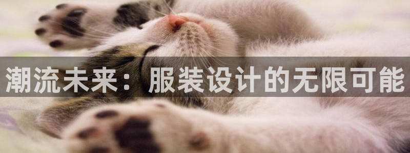 谈球吧体育app下载官网手机版安装