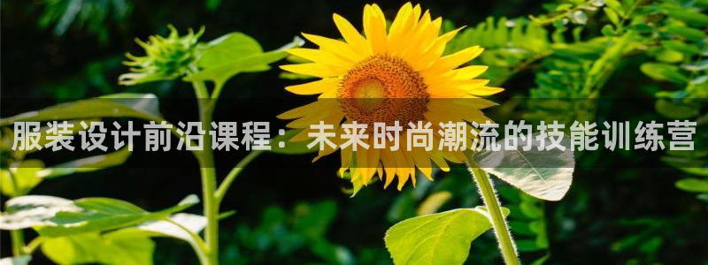 谈球吧的聊天软件叫什么名字