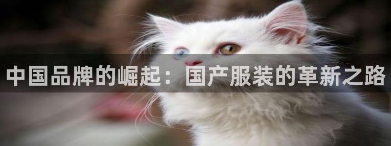 谈球吧的聊天软件