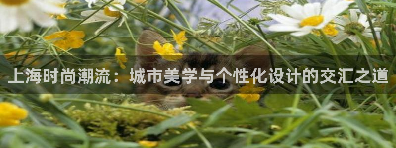 谈球吧体育ios下载