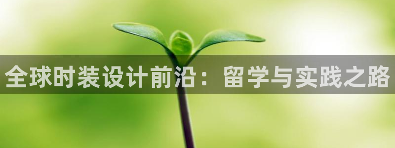 谈球吧的聊天软件是什么