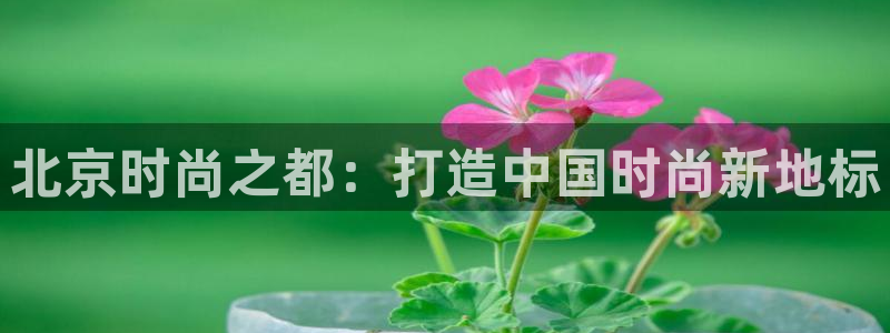 谈球吧的聊天软件叫什么名字