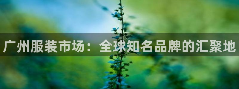 谈球吧是正规平台吗安全吗