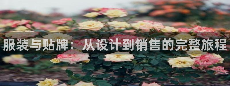 谈球吧体育app登陆不上