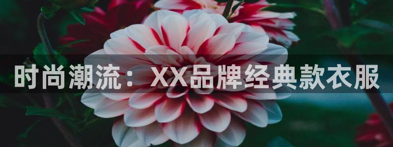 谈球吧网app官网下载