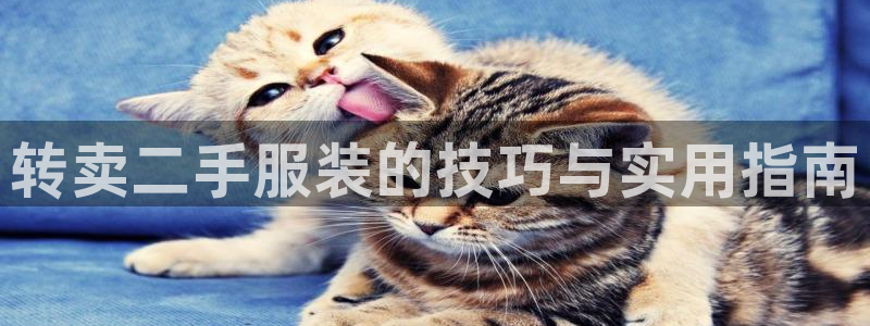 谈球吧体育综合台