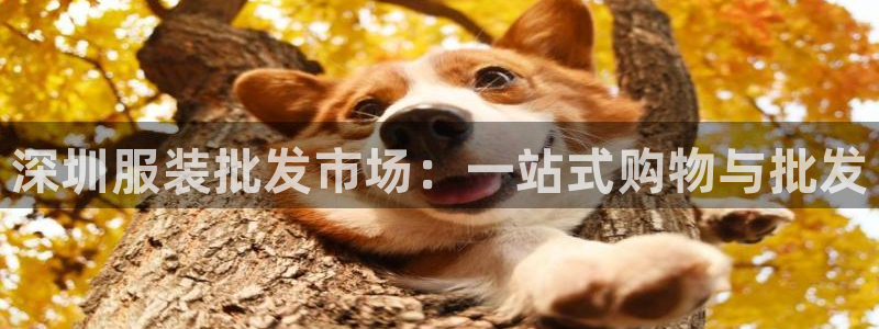 谈球吧言网入口