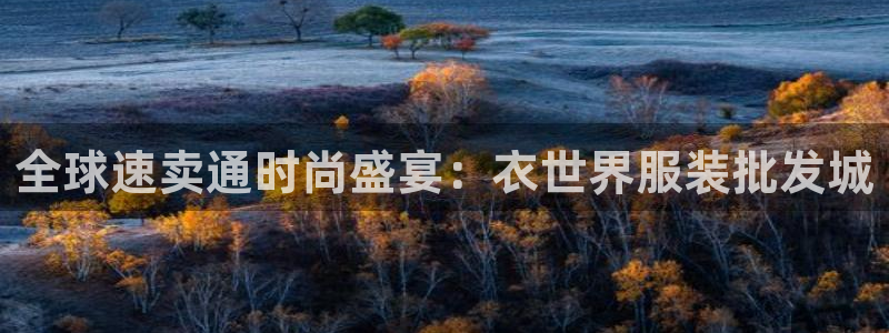 谈球吧官网在线入口免费观看高清