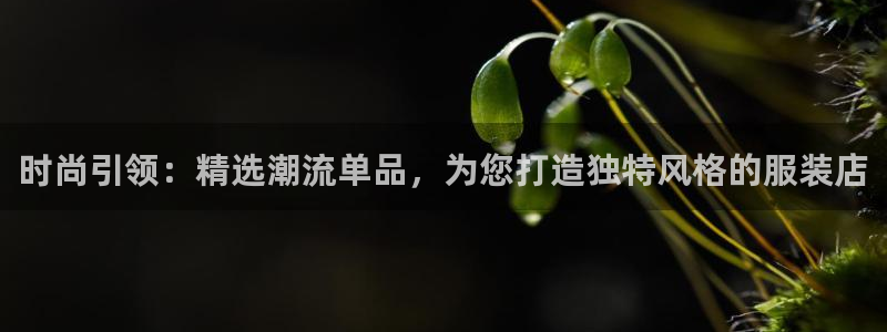 谈球吧APP入口